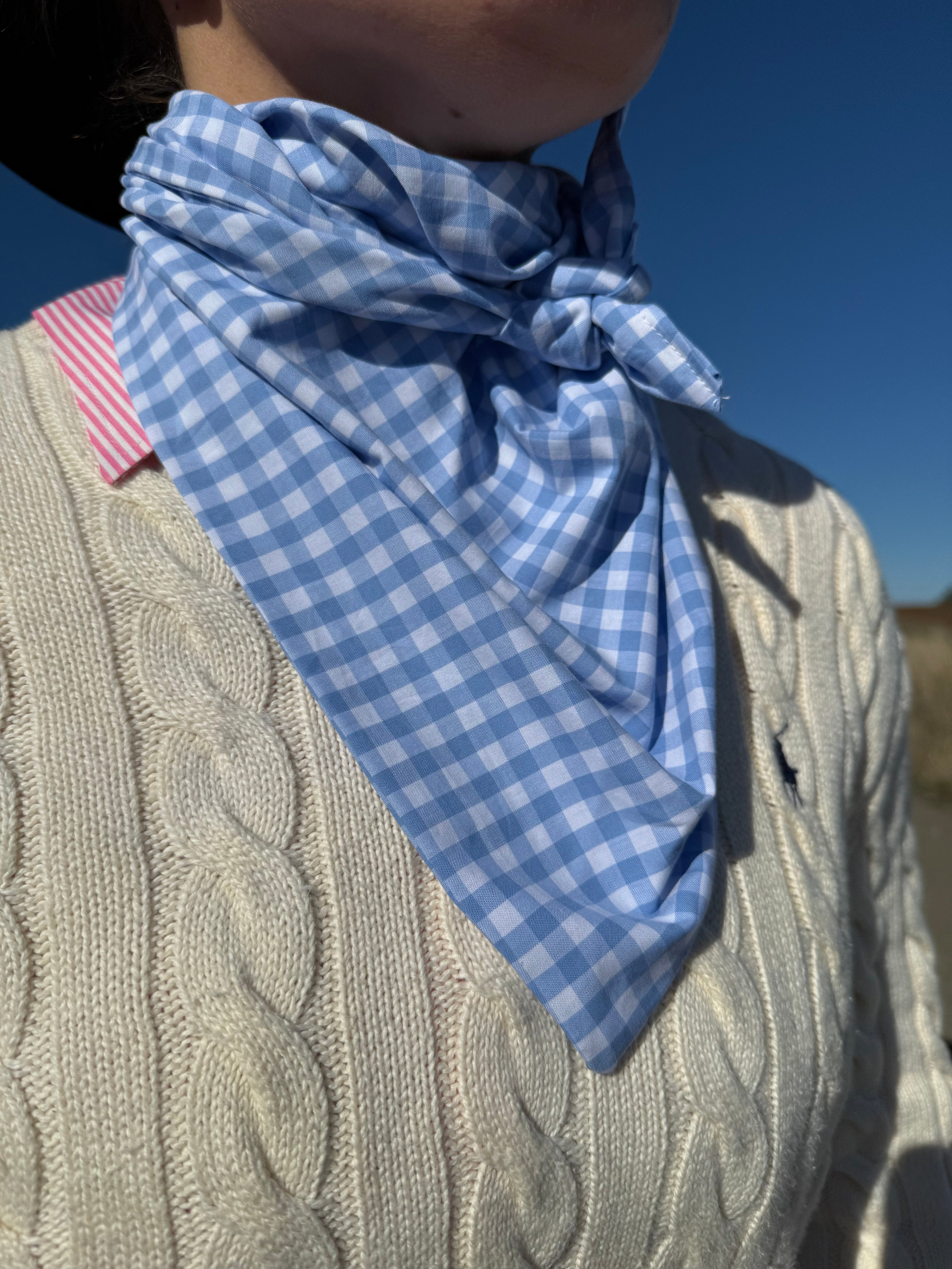 GINGHAM BLUE NECK SCARVES